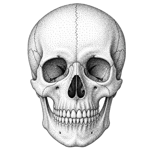 Skull Black logo